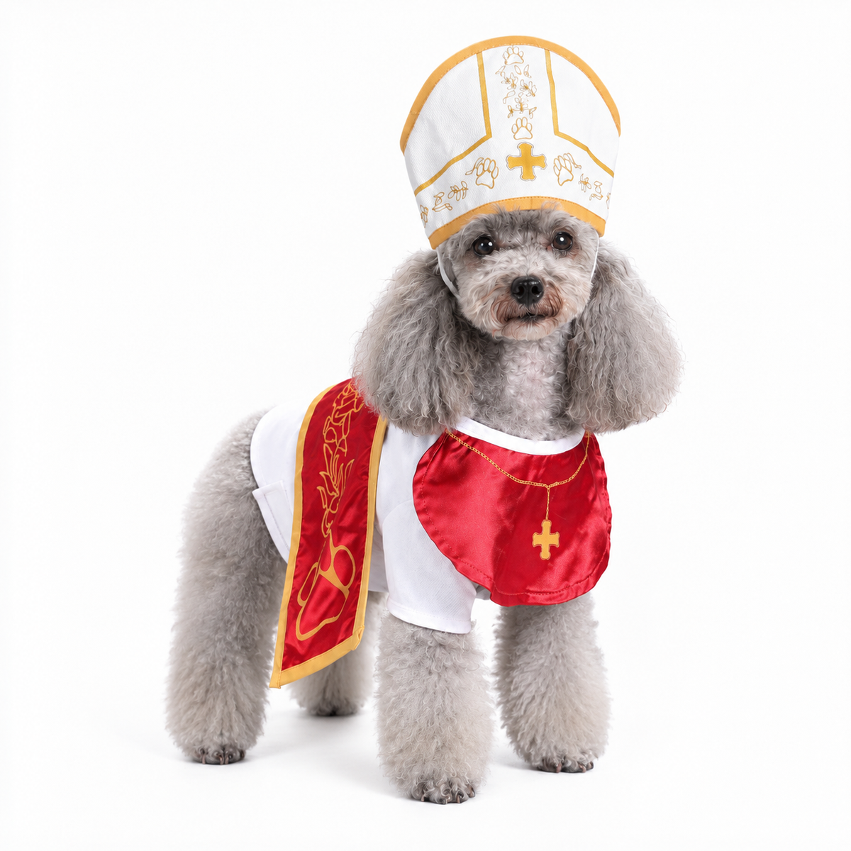 Holy Pet Costume - view 7