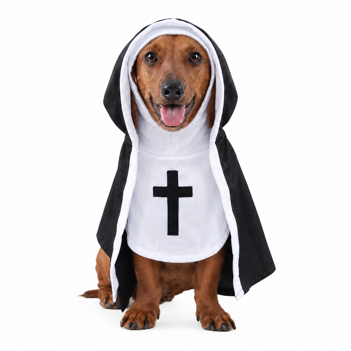 Holy Pet Costume - view 3