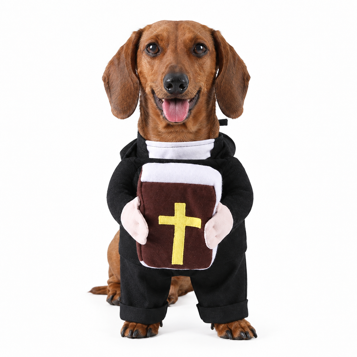 Holy Pet Costume - view 5